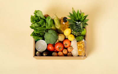 Armazenagem para produtos perecíveis: logística, armazenagem e transporte